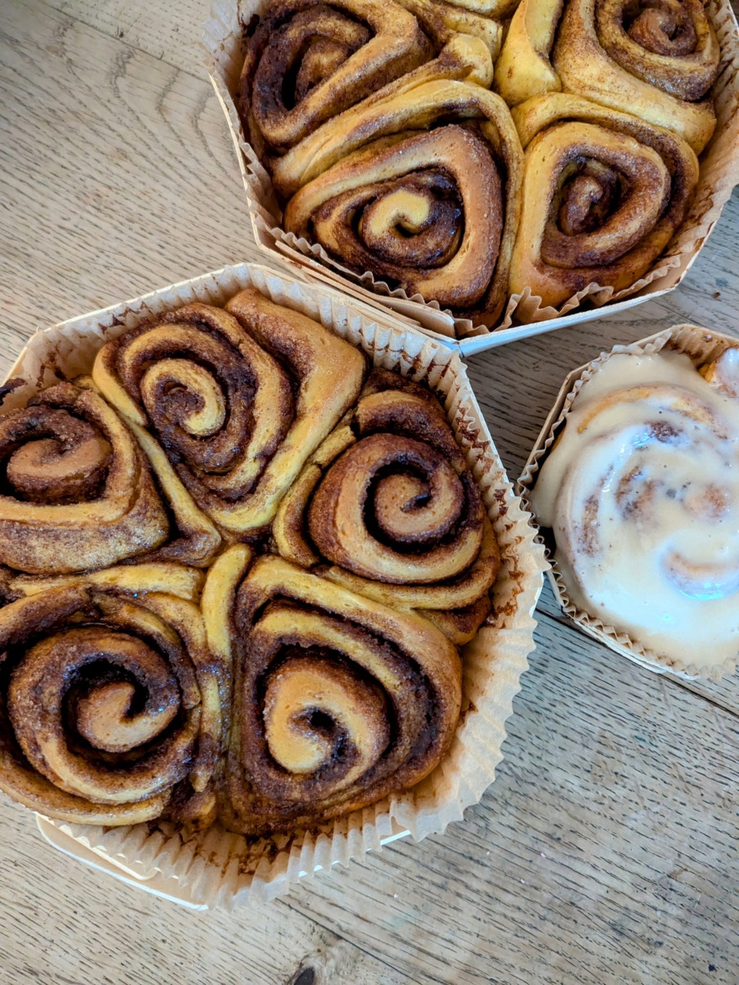 Pumpkin Cinnamon Rolls with Maple Cream Cheese Icing